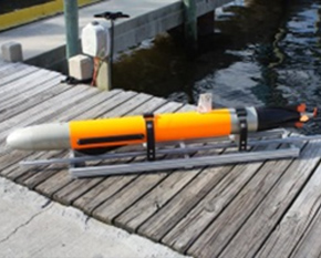 Autonomous Underwater Drone (AUV)